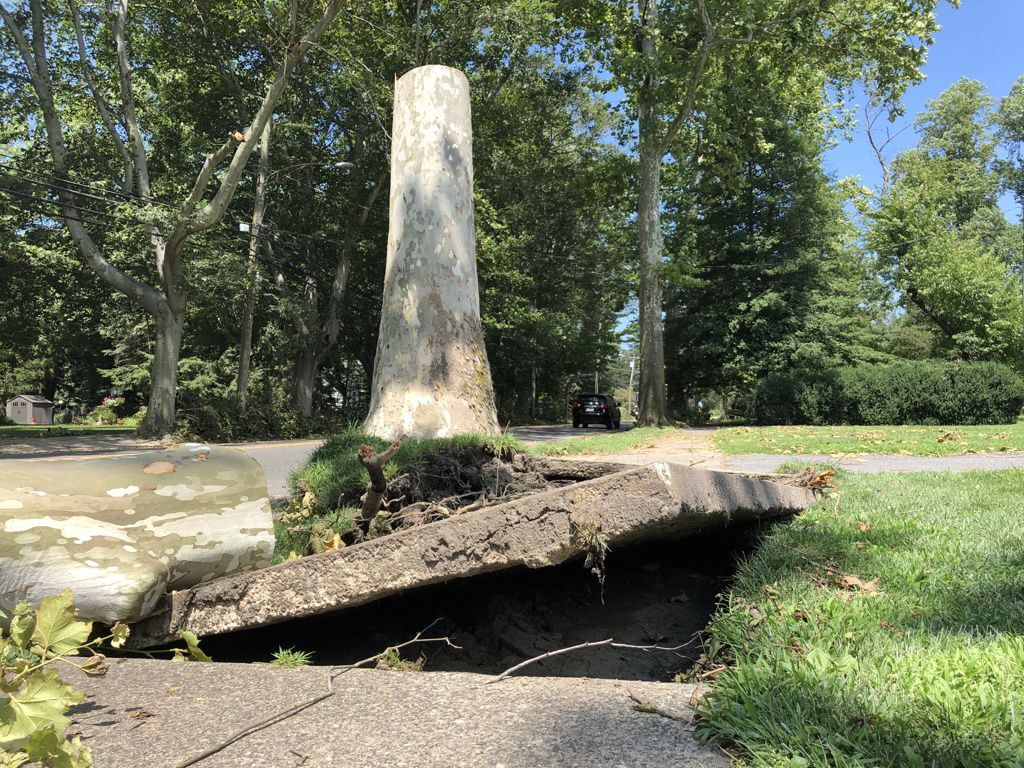 Tropical Storm Isaias aftermath in Hammonton